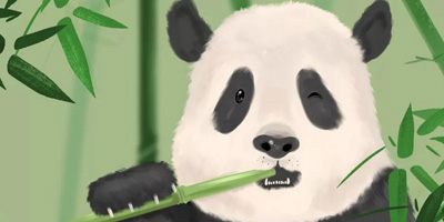 首個(gè)中國(guó)大熊貓國(guó)際形象出爐，網(wǎng)友看后不經(jīng)“噗”的笑出聲